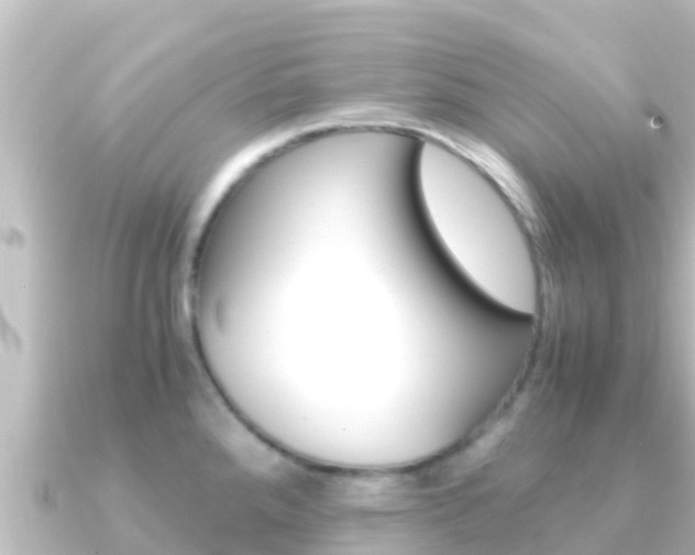 X0000091241288200708091124