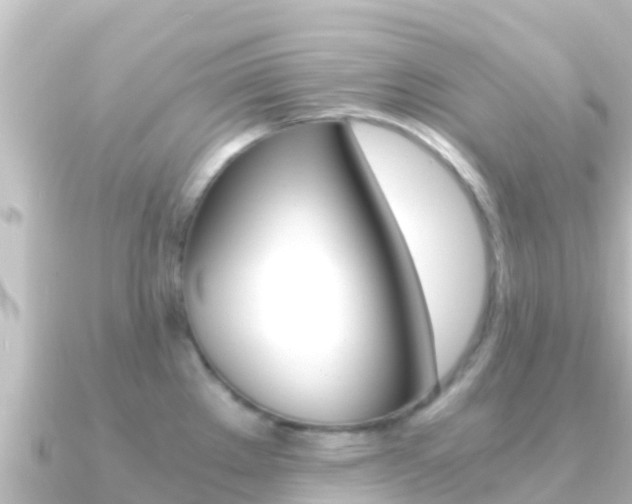 X0000091241289200708091124