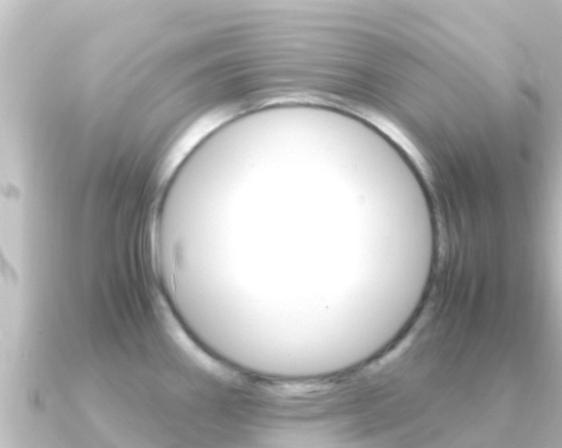 X0000091241290200708091124