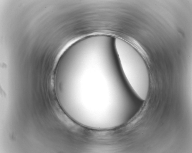 X0000091241292200708091124