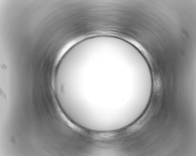 X0000091241294200708091124