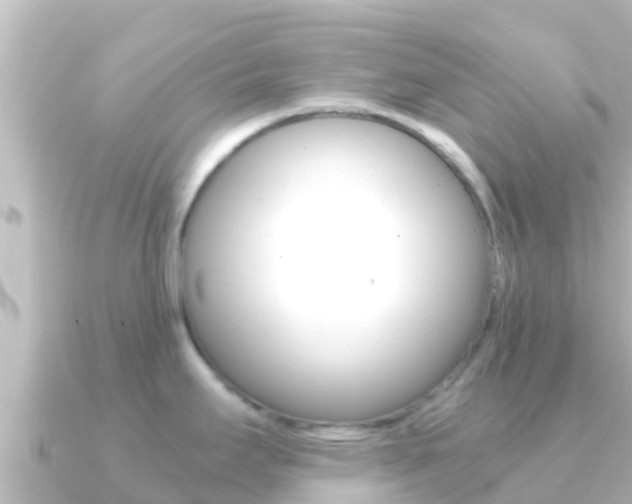 X0000091241295200708091124