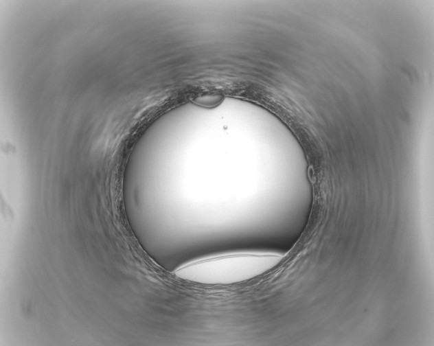 X0000091241297200708091124