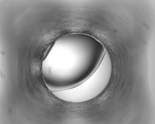X0000091241300200708091124