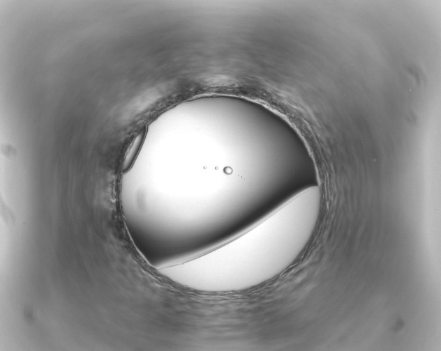 X0000091241301200708091124