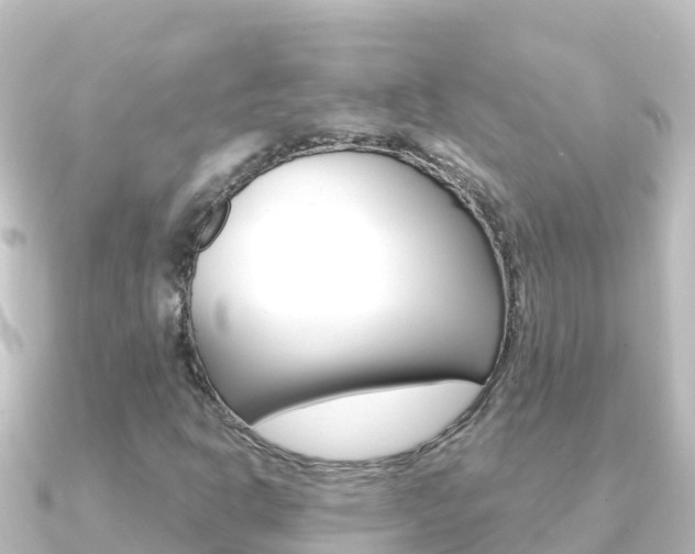 X0000091241302200708091124