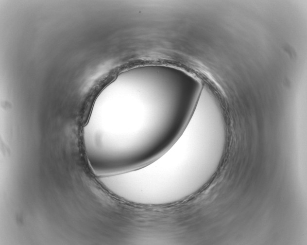 X0000091241304200708091124