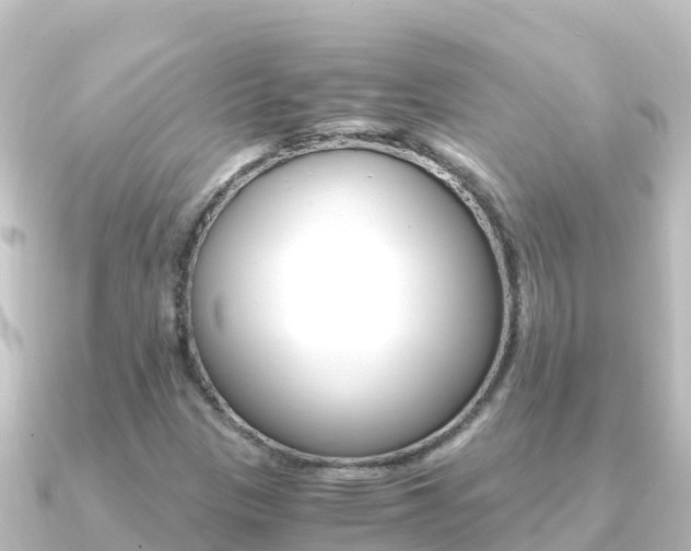 X0000091241305200708091124