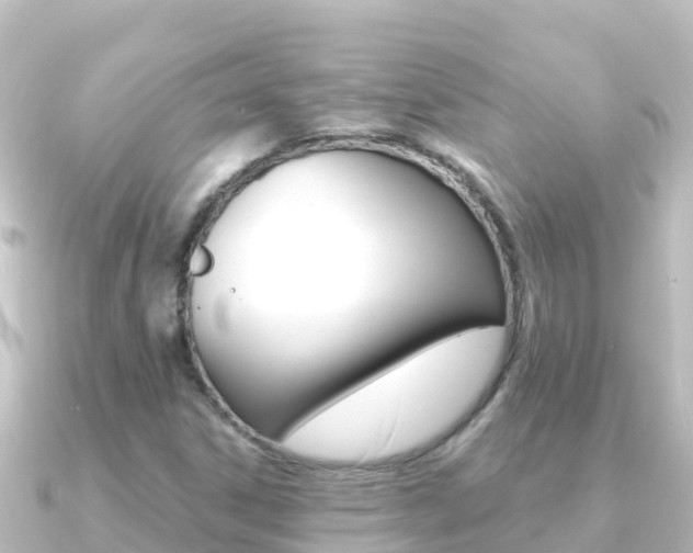 X0000091241306200708091124