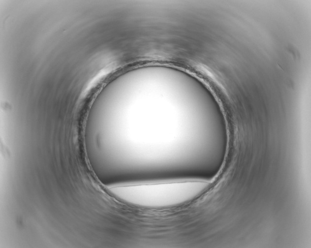 X0000091241307200708091124
