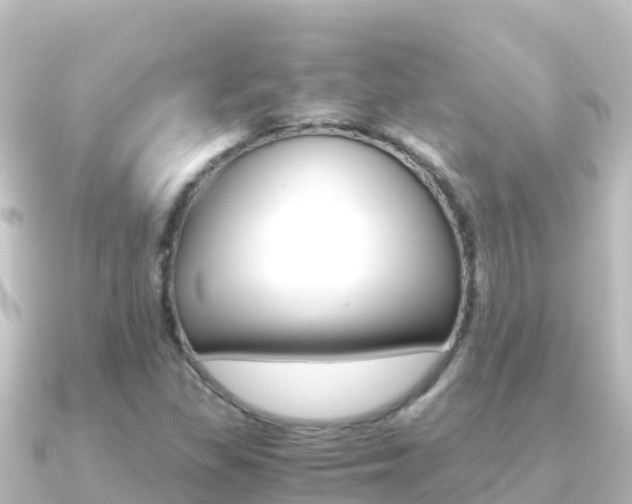 X0000091241309200708091124