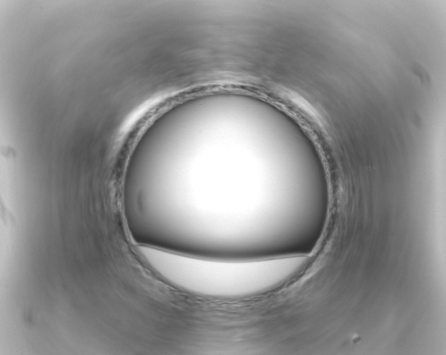 X0000091241310200708091124