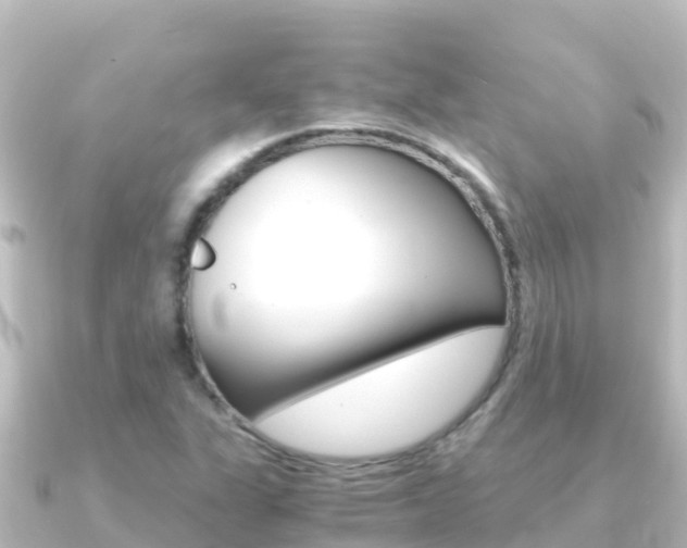 X0000091241311200708091124