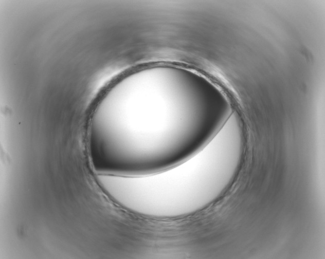 X0000091241312200708091124