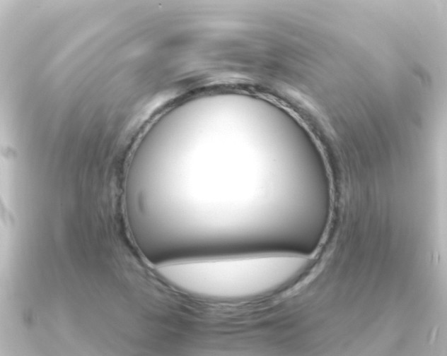 X0000091241313200708091124
