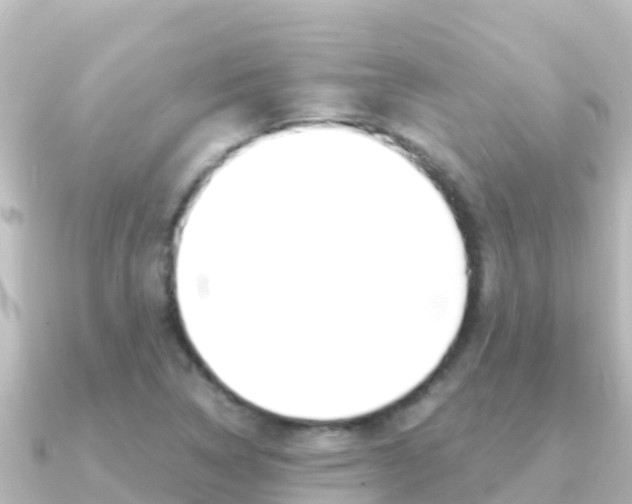 X0000091241314200708091124