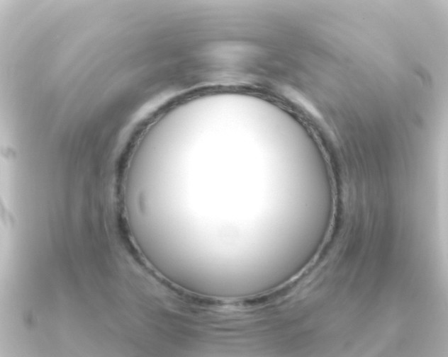 X0000091241315200708091124