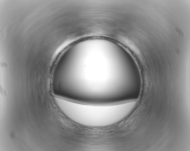 X0000091241316200708091124