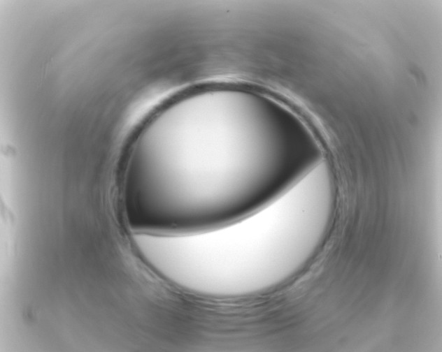 X0000091241319200708091124