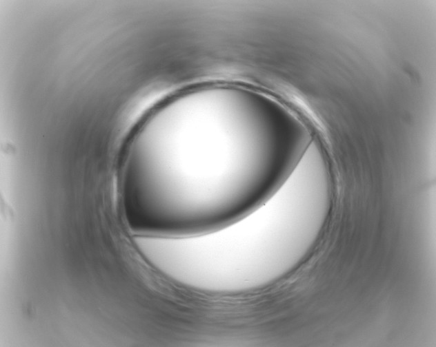 X0000091241320200708091124