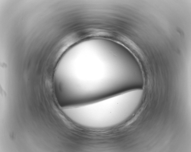 X0000091241321200708091124