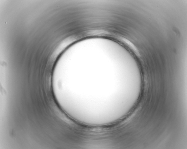 X0000091241322200708091124