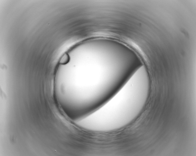 X0000091241323200708091124