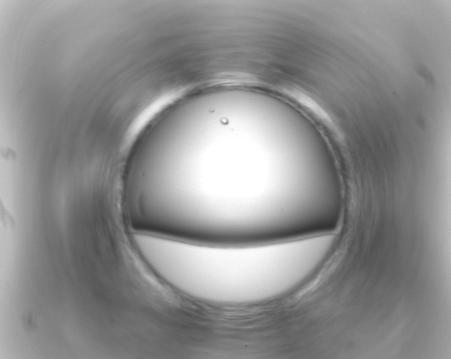 X0000091241325200708091124