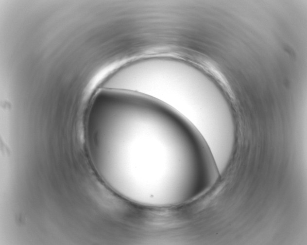 X0000091241328200708091124