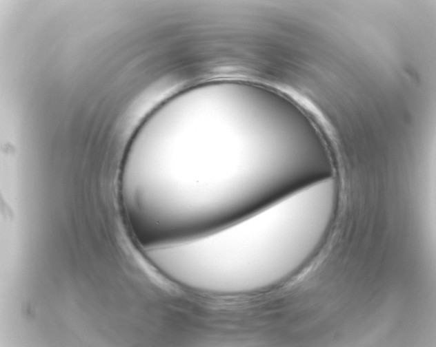 X0000091241333200708091124
