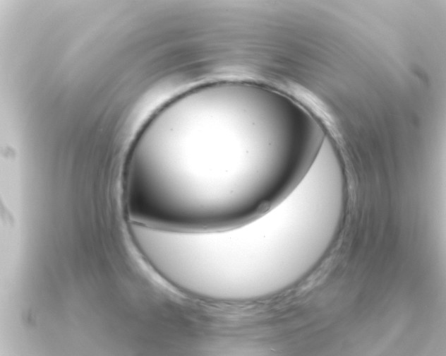 X0000091241334200708091124