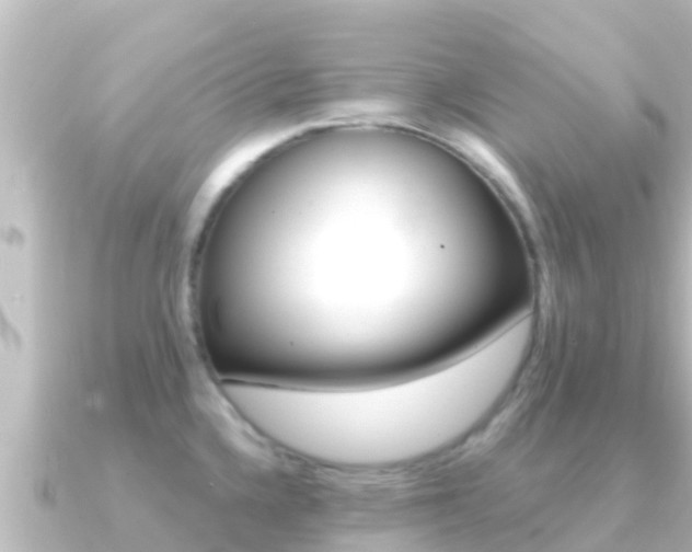 X0000091241336200708091124