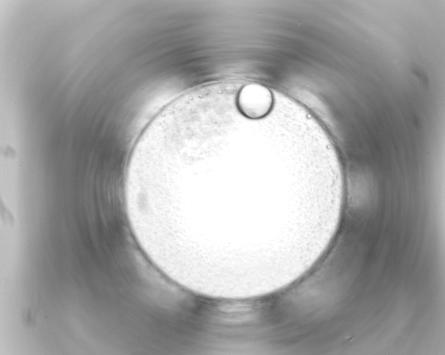 X0000091241338200708091124