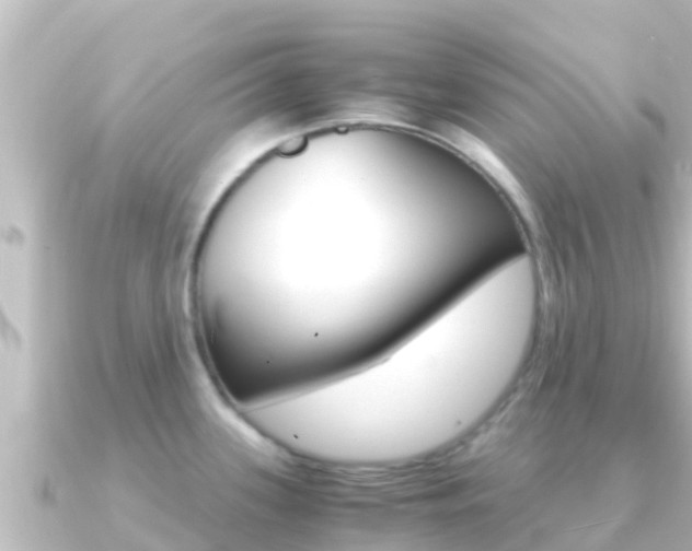 X0000091241339200708091124