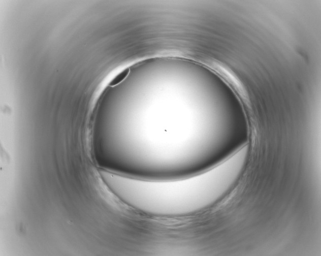 X0000091241340200708091124