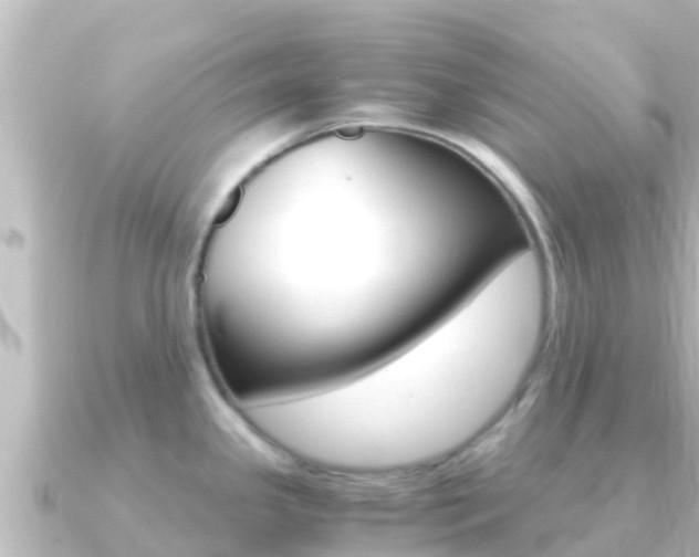 X0000091241341200708091124