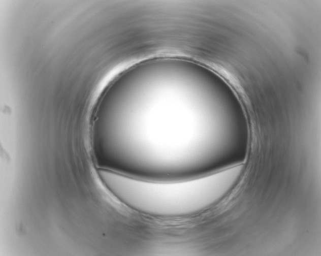 X0000091241342200708091124