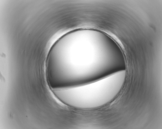 X0000091241343200708091124