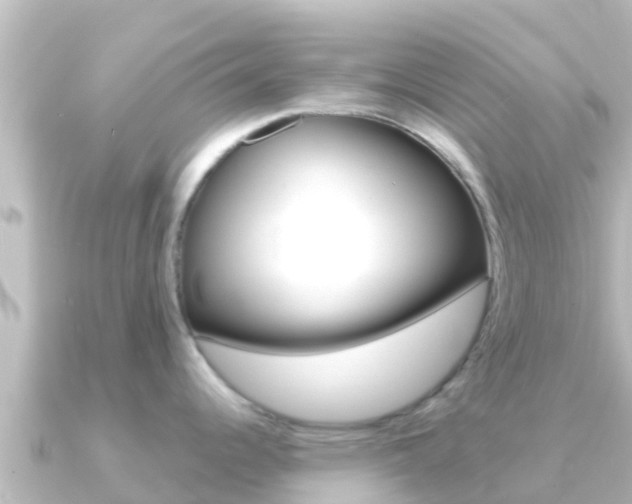 X0000091241344200708091124