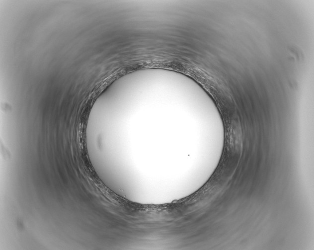 X0000091241346200708091124