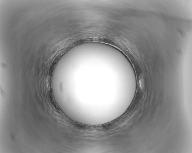 X0000091241347200708091124