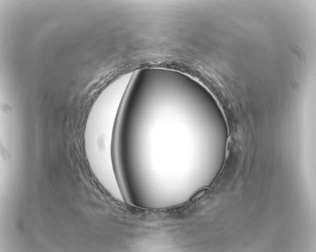 X0000091241349200708091124