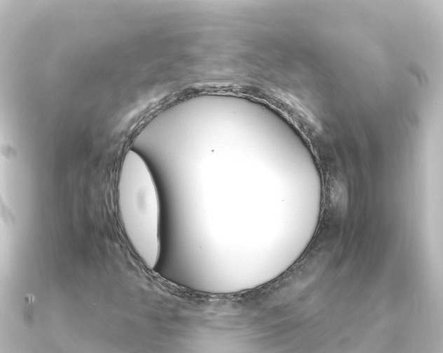 X0000091241350200708091124