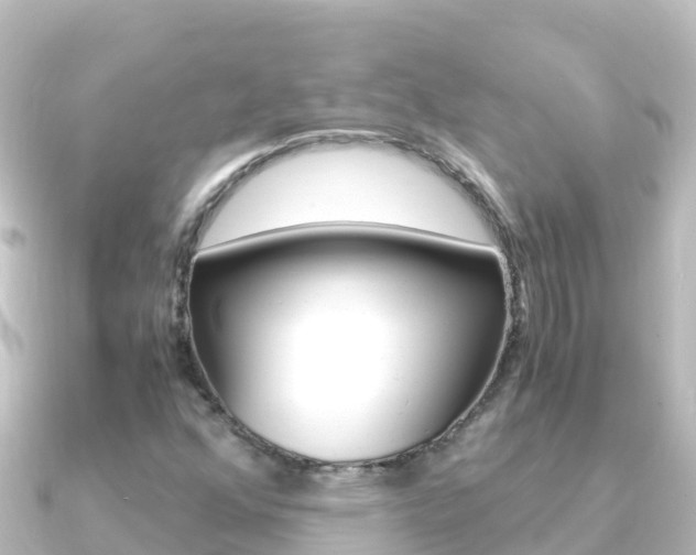 X0000091241352200708091124