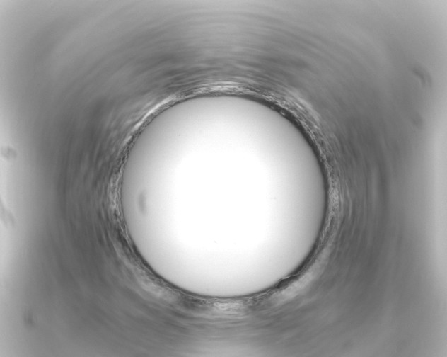 X0000091241353200708091124