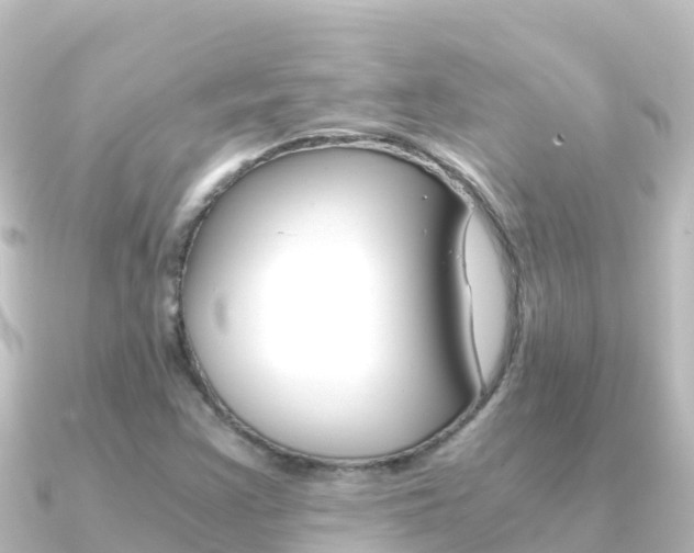 X0000091241355200708091124