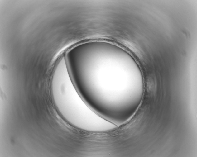 X0000091241356200708091124
