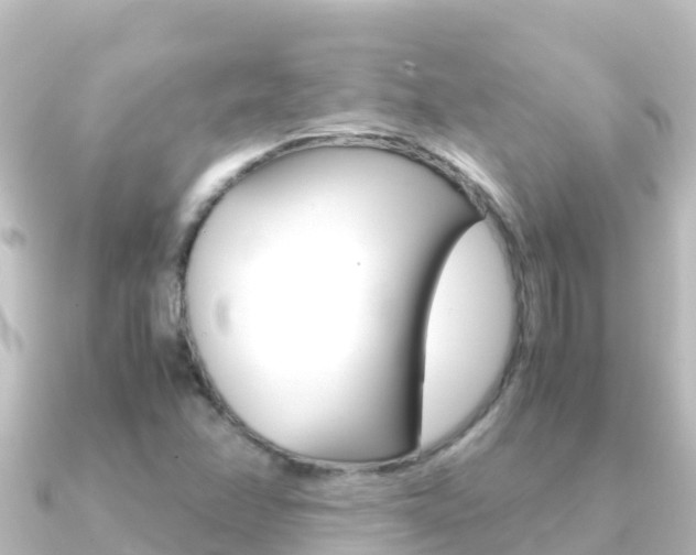 X0000091241358200708091124