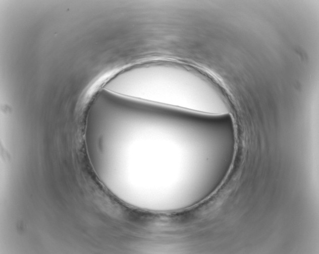 X0000091241359200708091124