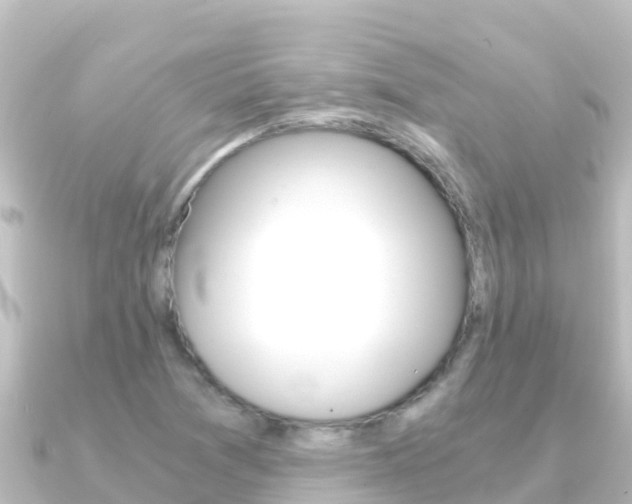 X0000091241361200708091123